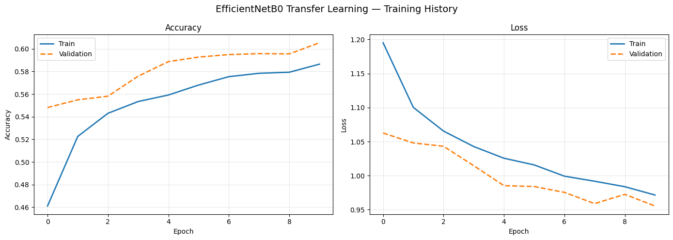 EfficientNetB0 training