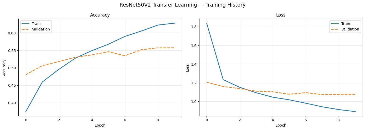 ResNet50V2 training